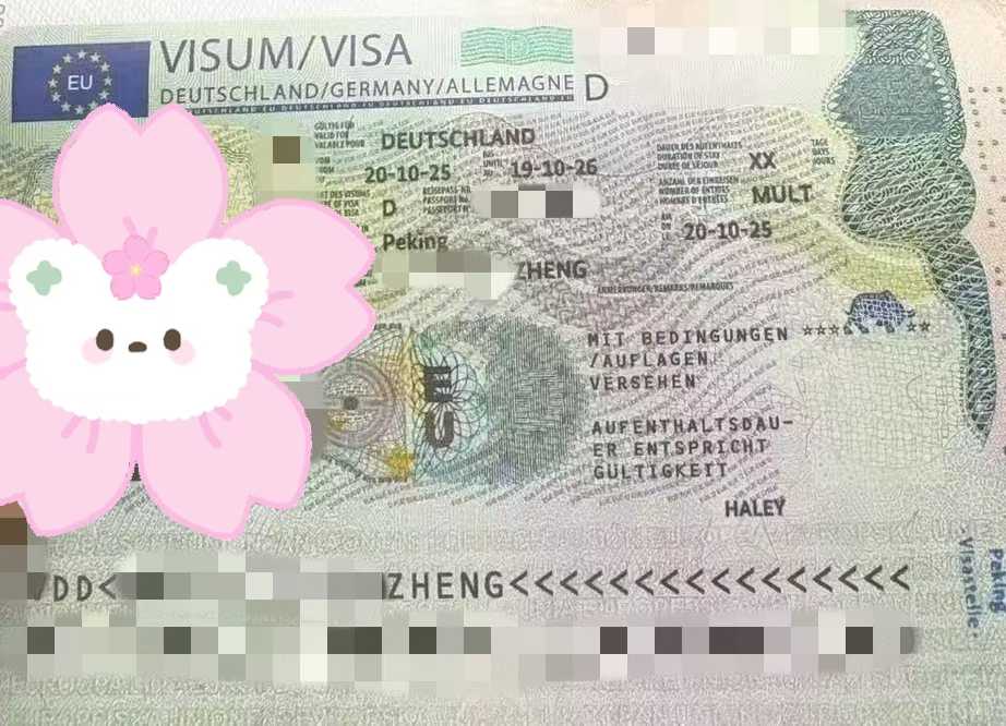 祝贺小zheng同学(北京APS递签)报海德堡富优学院40周加时强化班,首次签发一年语言+留学签证!